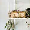imageThirteen Chefs Villa Acacia Wooden Planter Box  13 Inch Rectangular Wood Planter for Garden Patio Window Home Decor  Acacia Wood Plant Stand for Indoor or Outdoor Gardening