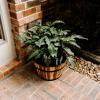 imageLarge Round Planter 18 Inch Whisky Barrel Wooden Planter Pot for Outdoors