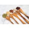 imageTramanto Olive Wood Round Spoon Beautiful HandCarved For Mixing Stirring and Serving 12 inches5 Piece Set